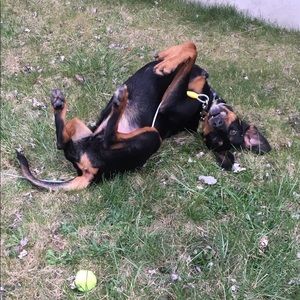 Meet your Posher, Melissa